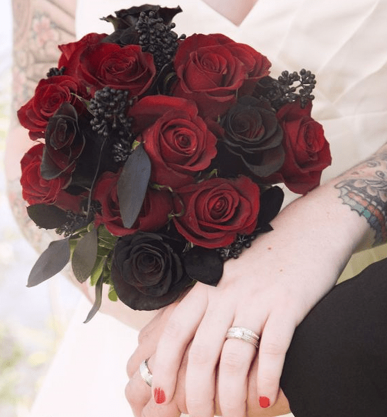 black and red rose flower