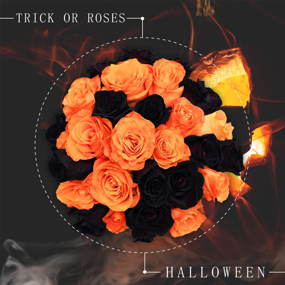 Halloween roses