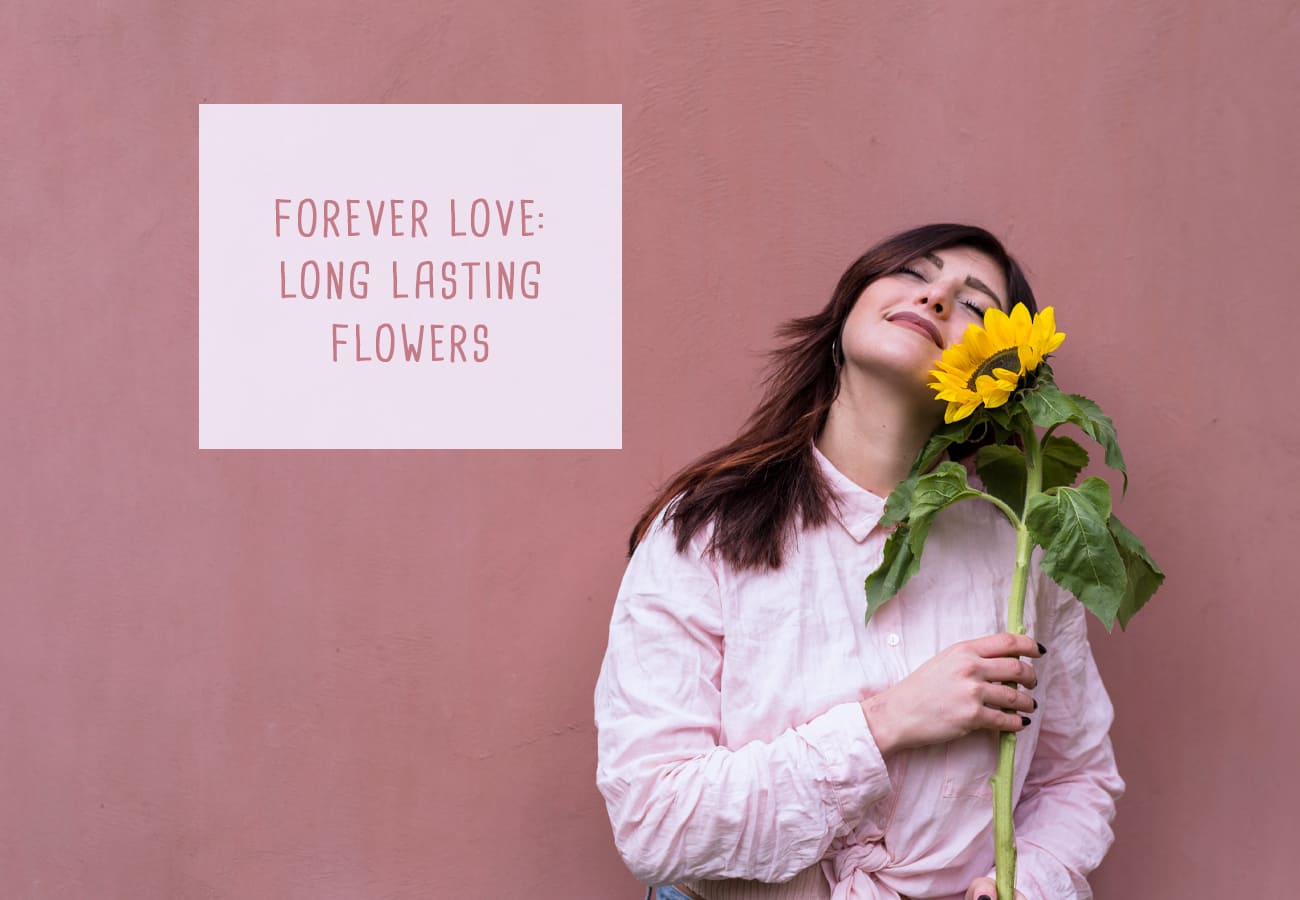 forever love preserved fresh flower teddy