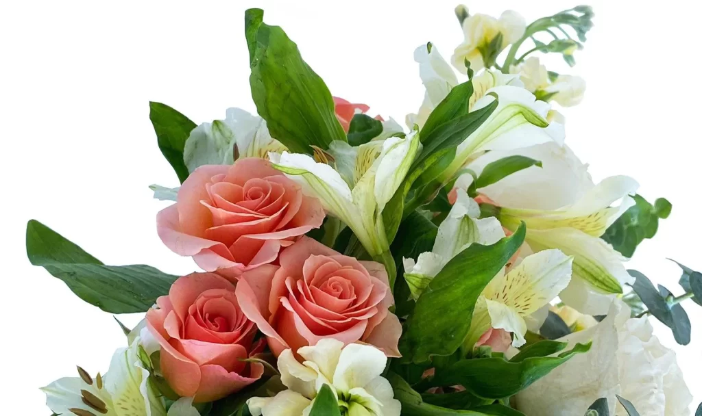 Wholesale-Flowers-Magnaflor All Wholesale Roses Created Equal