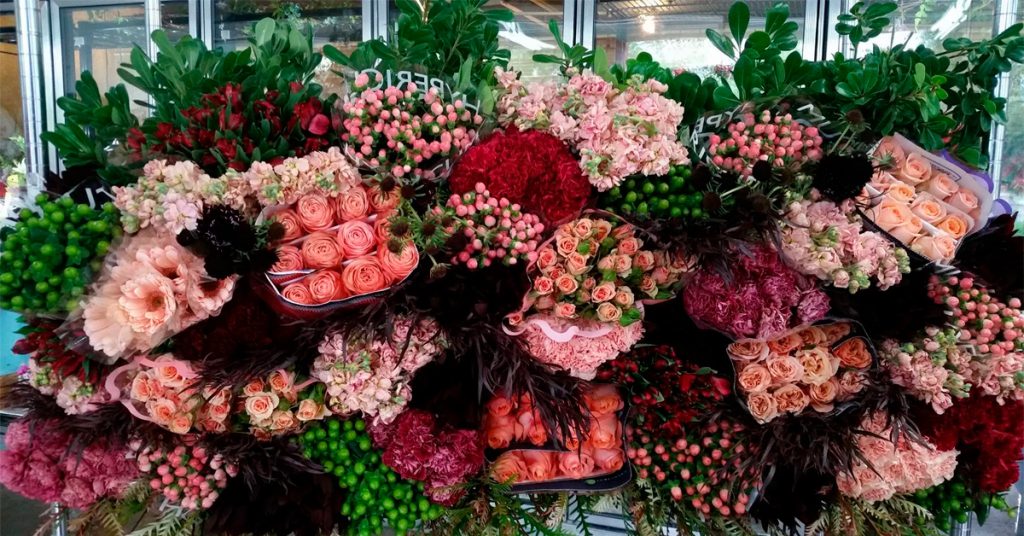Wholesale-Flowers-Magnaflor 12 Important Things About Bulk Flowers 2