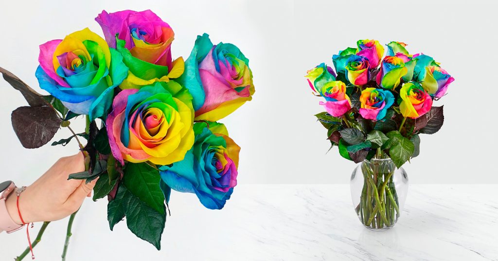 Wholesale-Flowers-Magnaflor Roses Heal And Illuminate Life 3