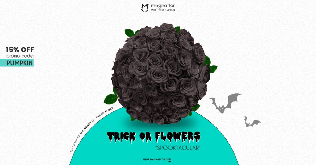 Wholesale-Flowers-Magnaflor Wholesale Buy Halloween Flowers