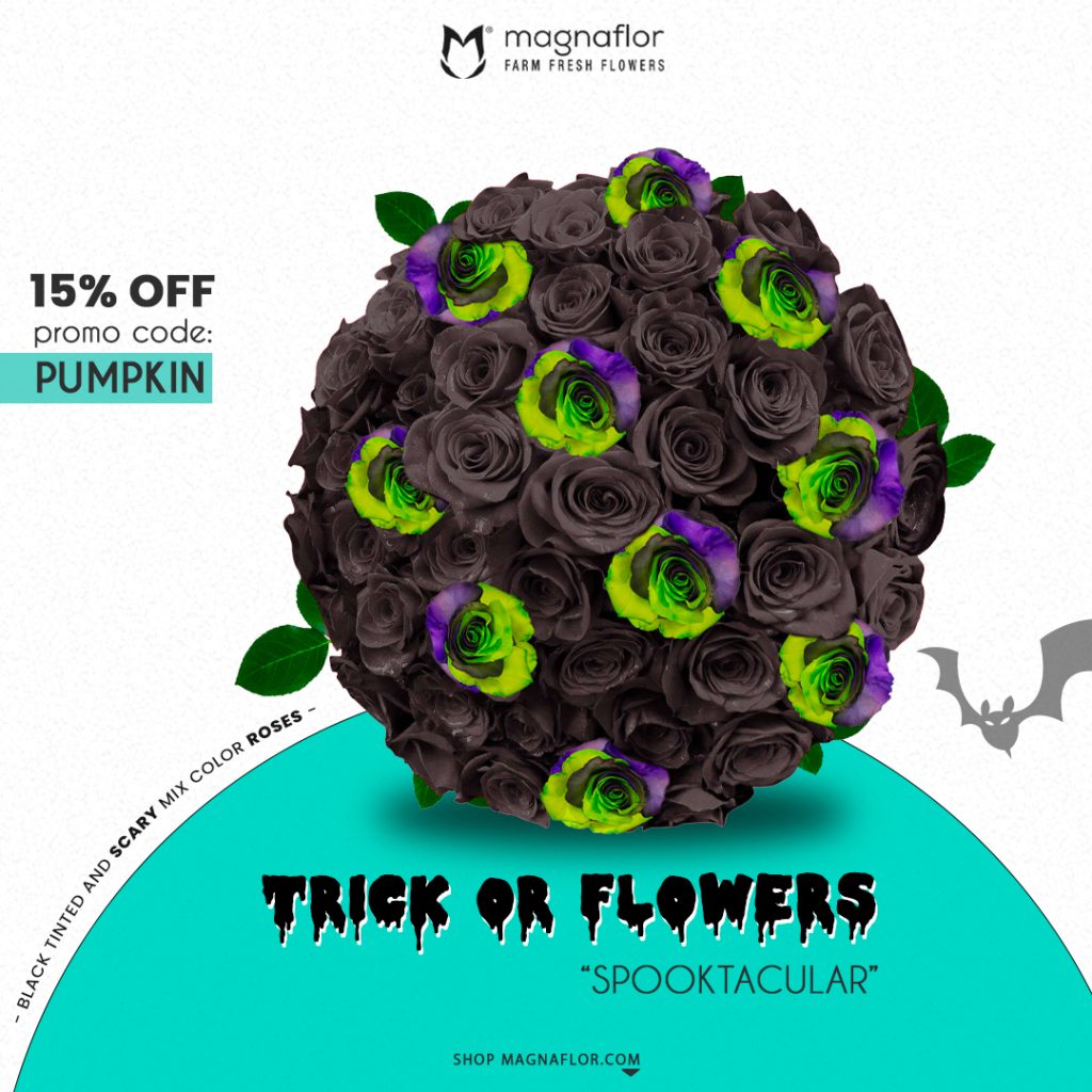 Wholesale-Flowers-Magnaflor Wholesale Buy Halloween Flowers 2