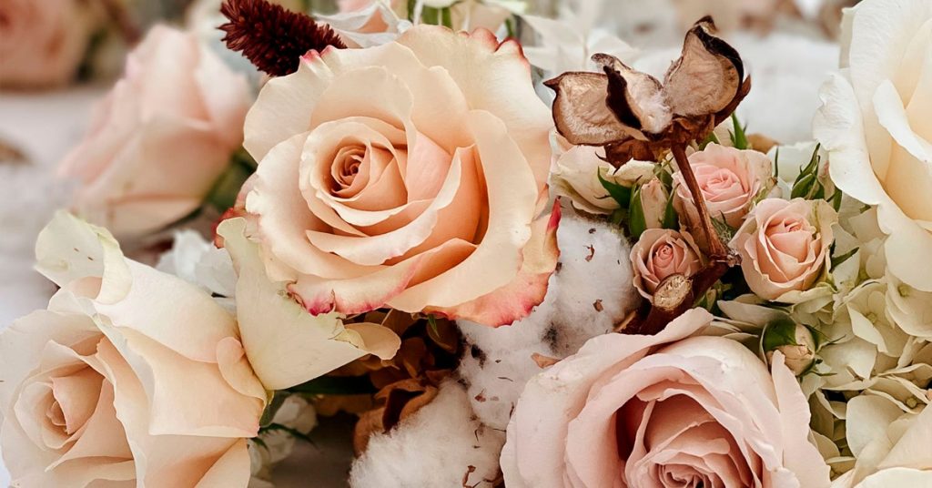 Wholesale-Flowers-Quicksand Cream Roses