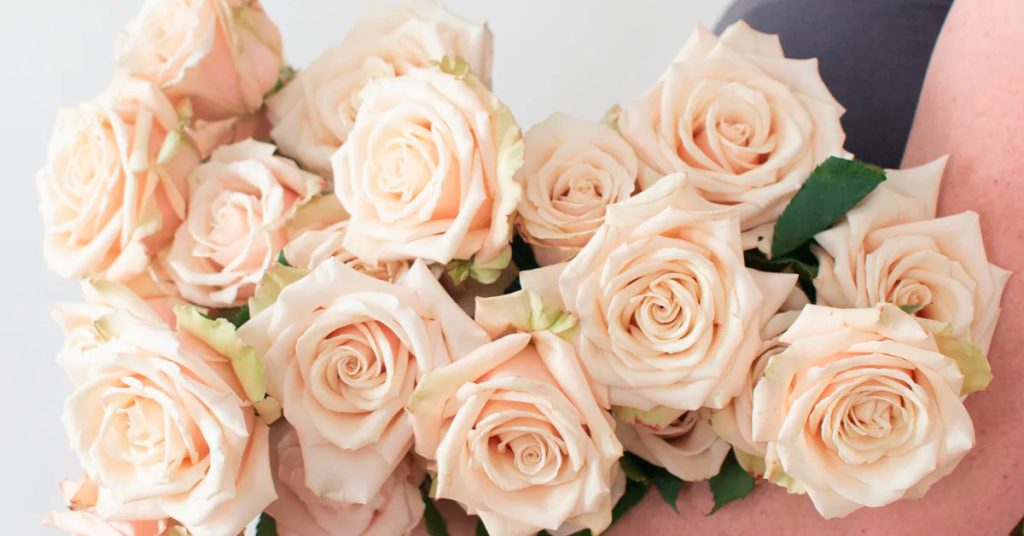 Wholesale-Flowers-Quicksand Cream Roses 3