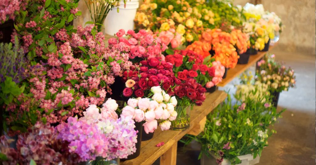 14 Common Misconceptions about Bulk Wholesale Flowers | Magnaflor