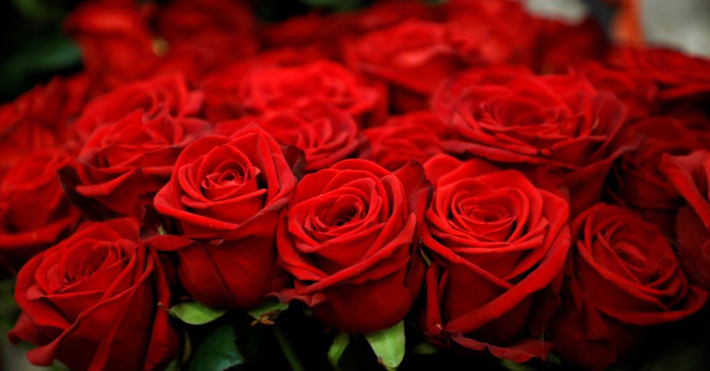 Valentine’s Day in the Wholesale World 2 | Magnaflor-Wholesale-Flowers