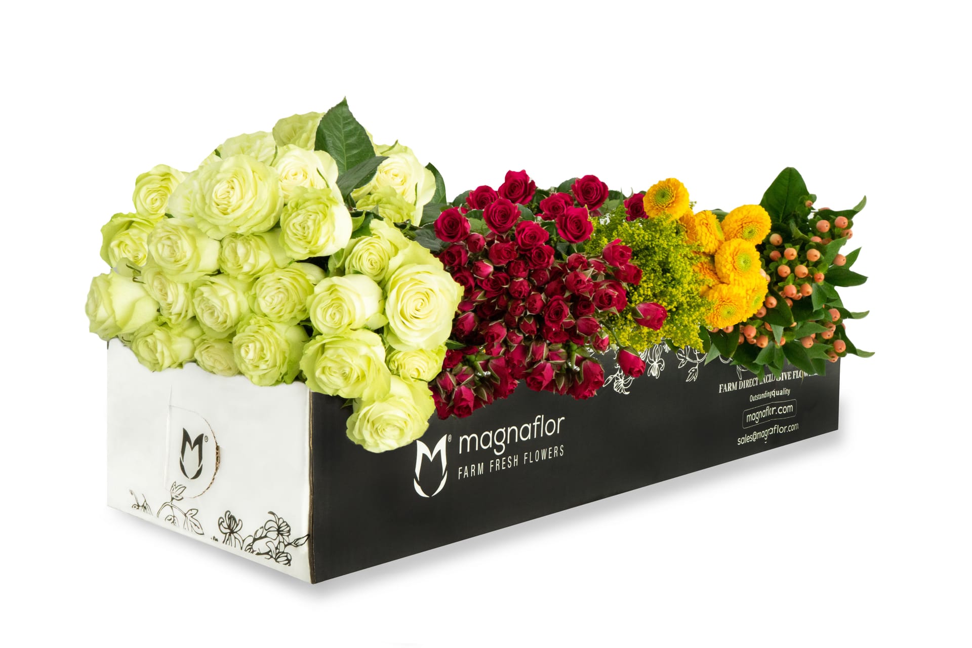 Partner growers in the Ecuadorian and Colombian highlands — hydrangeas and specialty stems for Southwest Florida florists