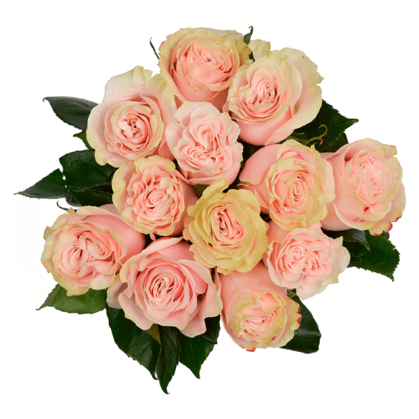 pink mondial bouquet magnaflor