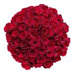 Wholesale Flowers - Flowers near me - Order Flowers Online | Magnaflor