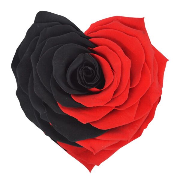 Bicolor Shape of Love - Red and Black Preserved Roses