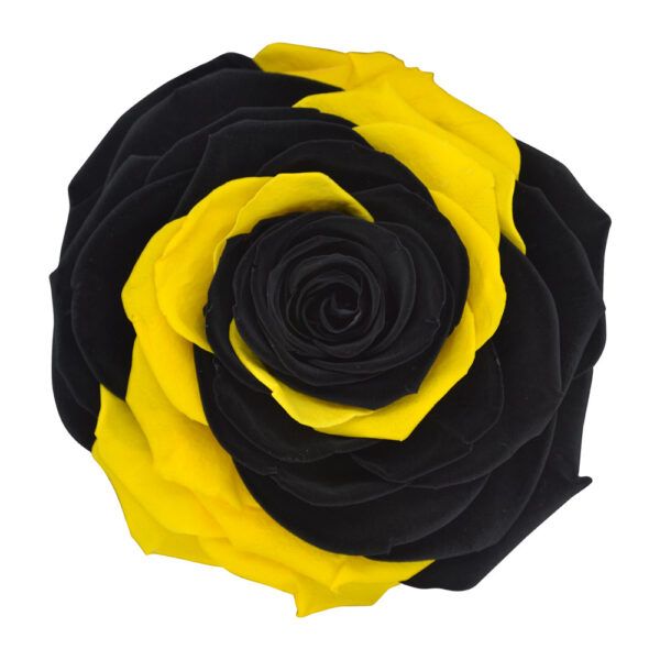 Pure Passion - Black and Yellow Preserved Roses