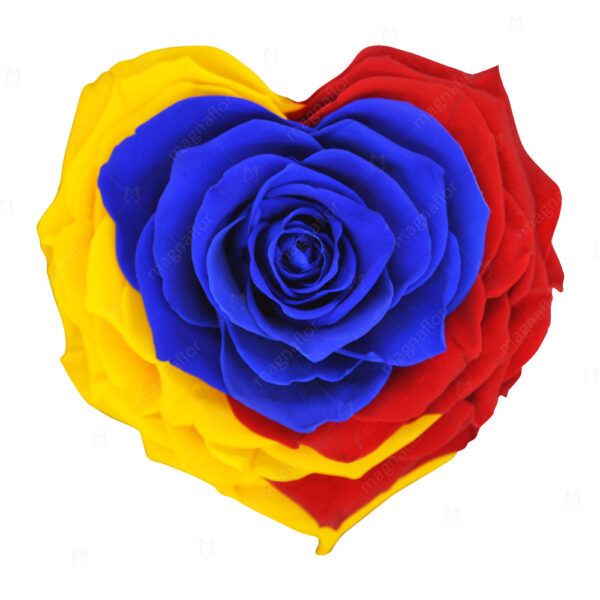 Shape of Love - Mixed Color Preserved Roses