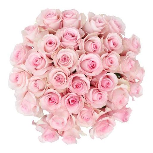 Free delivery - Premium - Christa - Pink Roses - Flowers Near Me ...