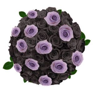 Free delivery - Premium - Dracula - Purple and Black Tinted Roses - Flowers  Near Me - Magnaflor