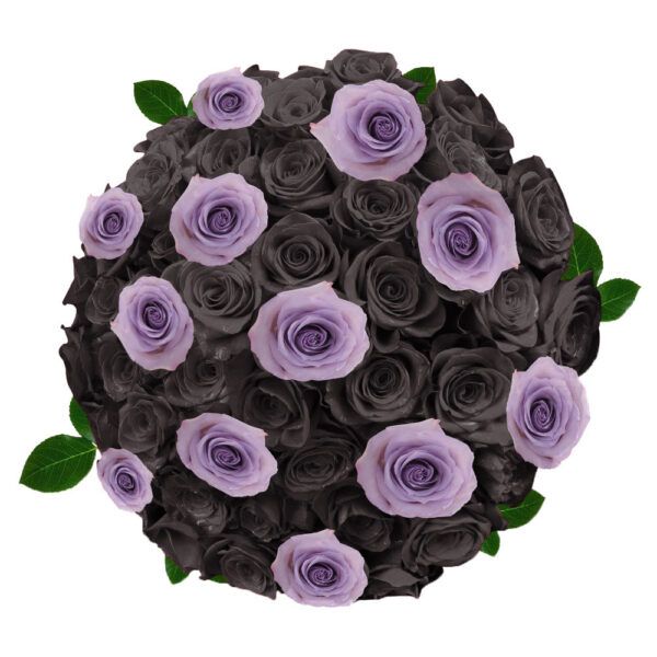 Dracula - Purple and Black Tinted Roses