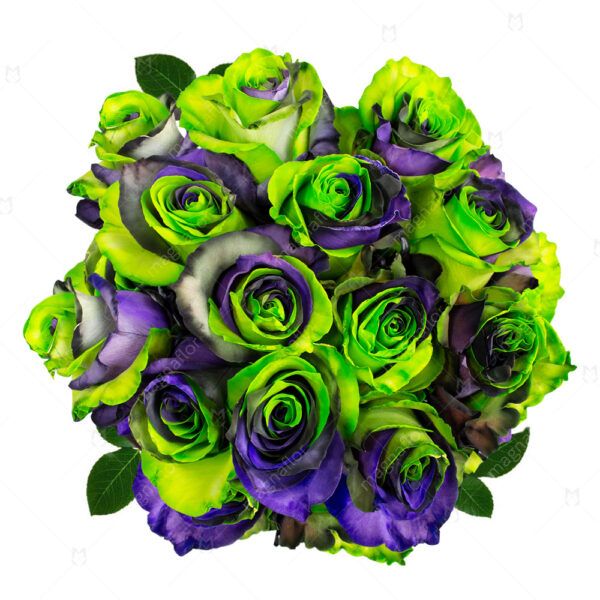 Earth - Purple and Green Tinted Roses