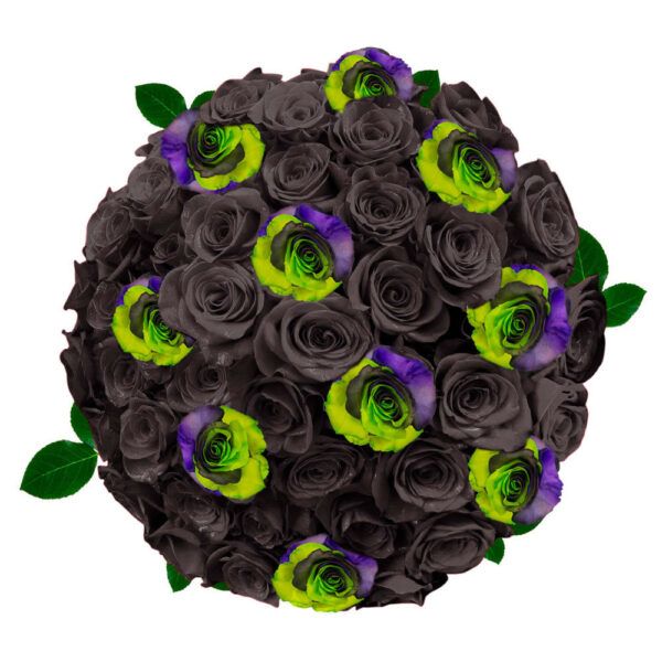 Frankenstein - Black, Purple and Green Tinted Roses