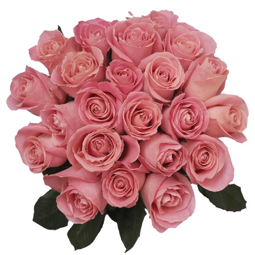 Free delivery - Premium - Hermosa - Pink Roses - Flowers Near Me ...