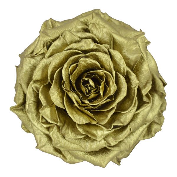 Metallic Gold - Yellow Preserved Roses