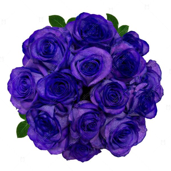 Purple - Purple Tinted Roses