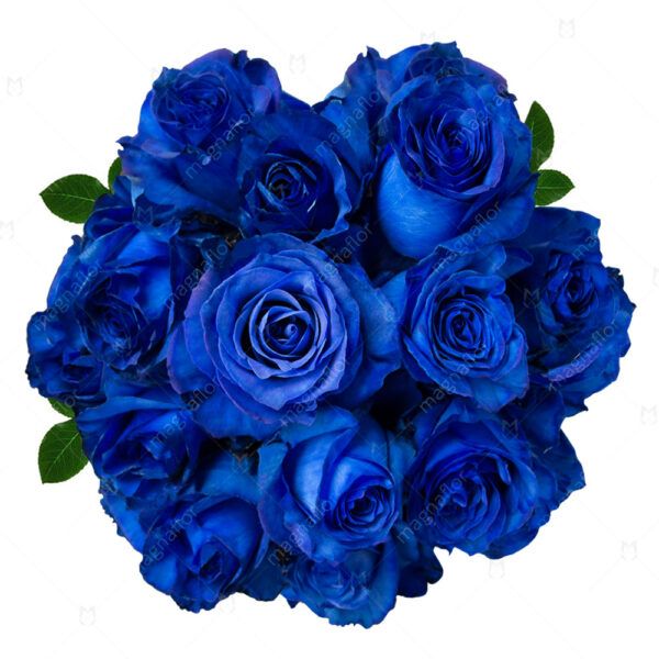 Blue Tinted Roses