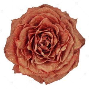 Orange Glitter - Orange Preserved Roses