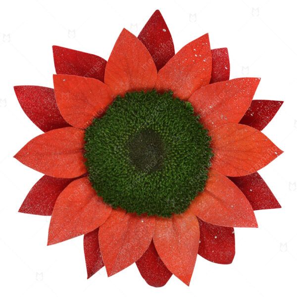 Red Glitter Sunflower - Red Preserved Sunflower