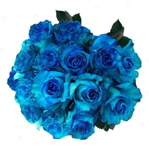 Sky Blue Tinted Roses