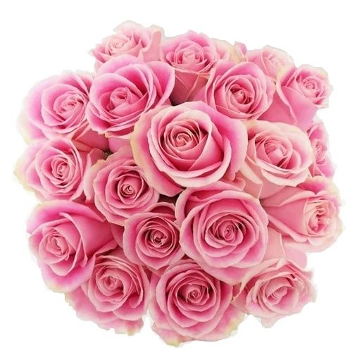 Free delivery - Premium - Rosita Vendela - Pink Roses - Flowers Near Me ...