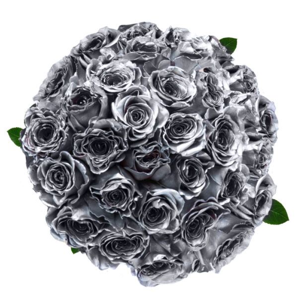 Silver - Silver Airbrushed Tinted Roses