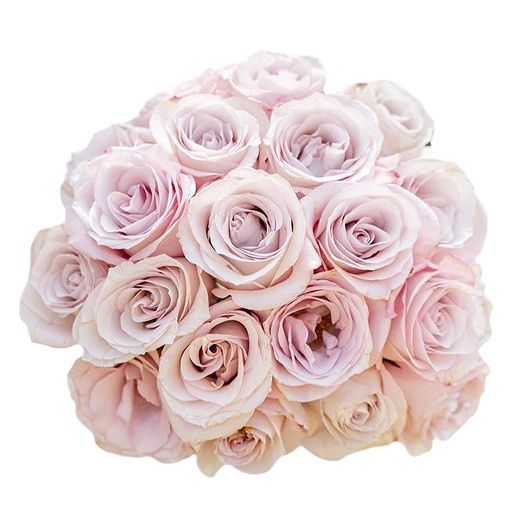 Free delivery - Premium - Secret Garden - Pink Roses - Flowers Near Me ...